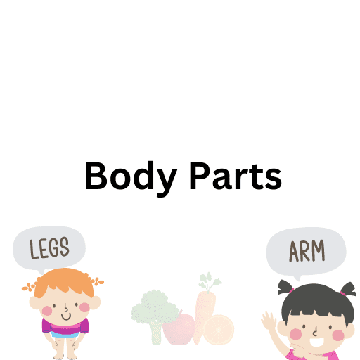 Body Parts